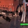 Алкоголь-губит Алкоголь-губит