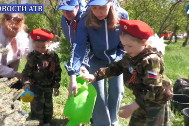 Сад памяти аллея