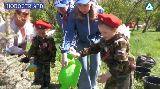 Сад памяти аллея