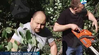 Уборка сквера