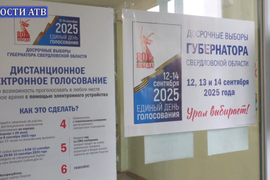 Выборы