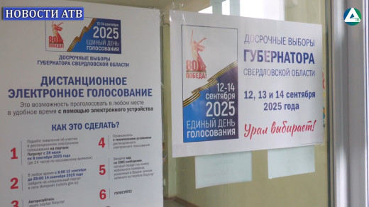 Выборы
