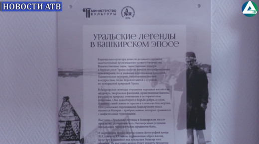 Выставка
