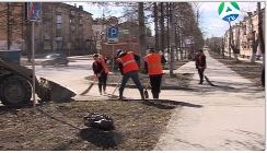 комбинат на субб