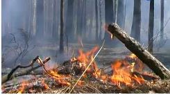 особый противоп реж