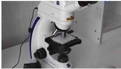 осторожно туберк