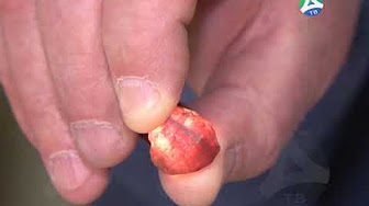 промышл добыча