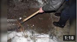 раскрыто убий