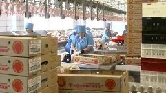 рефтинская