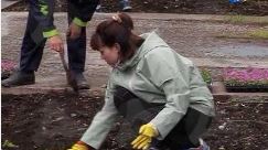 высадка цветов