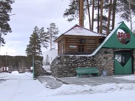 заря лагерьь